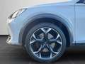 CUPRA Formentor VZ 2.0 TSI DSG 4Drive Navi, RFK, DCC Weiß - thumbnail 8