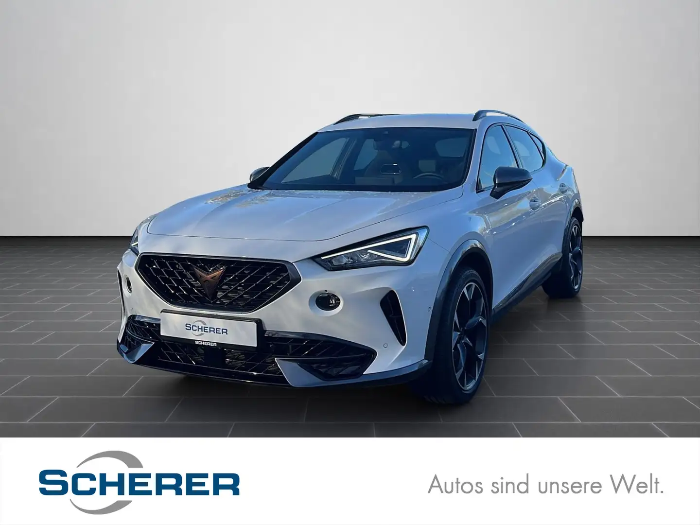 CUPRA Formentor VZ 2.0 TSI DSG 4Drive Navi, RFK, DCC Weiß - 1