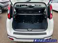 Fiat Panda Mild Hybrid 1.0 City Cross Plus Klimaautom Musikst Weiß - thumbnail 7