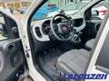 Fiat Panda Mild Hybrid 1.0 City Cross Plus Klimaautom Musikst Weiß - thumbnail 10