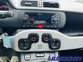 Fiat Panda Mild Hybrid 1.0 City Cross Plus Klimaautom Musikst Weiß - thumbnail 18