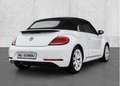 Volkswagen Beetle Cabrio 1.4 TSI Design 110kW Blanco - thumbnail 2