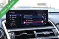 Lexus NX 300h AWD Sport Line PANORAMADAK/MATRIX/LEDER/CAMERA/ETC Gris - thumbnail 31