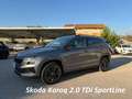 Skoda Karoq Karoq 2022 2.0 tdi evo Sportline 150cv dsg Grigio - thumbnail 1