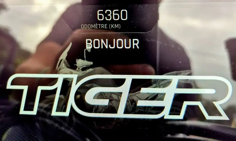 Triumph Tiger 900 - foto 6