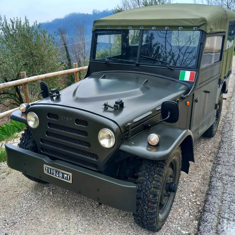 FIAT CAMPAGNOLA ANNO 1973, foto 8