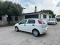 Fiat Grande Punto 1.2 65cv 5p. Neopatentati Blanco - thumbnail 3