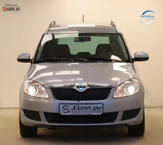 Skoda Roomster view 2