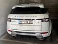 Land Rover Range Rover Evoque Range Rover Evoque Dynamic 2,2 TD4 Aut. Dynamic Weiß - thumbnail 3