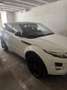 Land Rover Range Rover Evoque Range Rover Evoque Dynamic 2,2 TD4 Aut. Dynamic Weiß - thumbnail 2