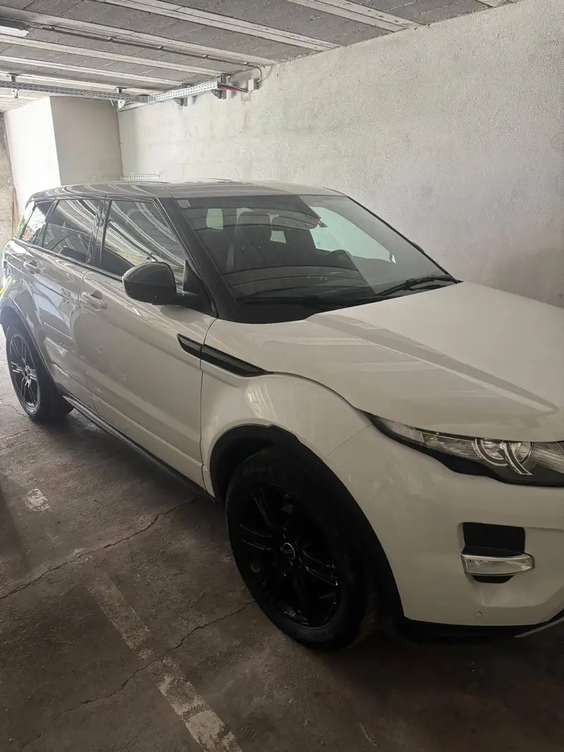 Land Rover Range Rover Evoque Range Rover Evoque Dynamic 2,2 TD4 Aut. Dynamic Weiß - 2