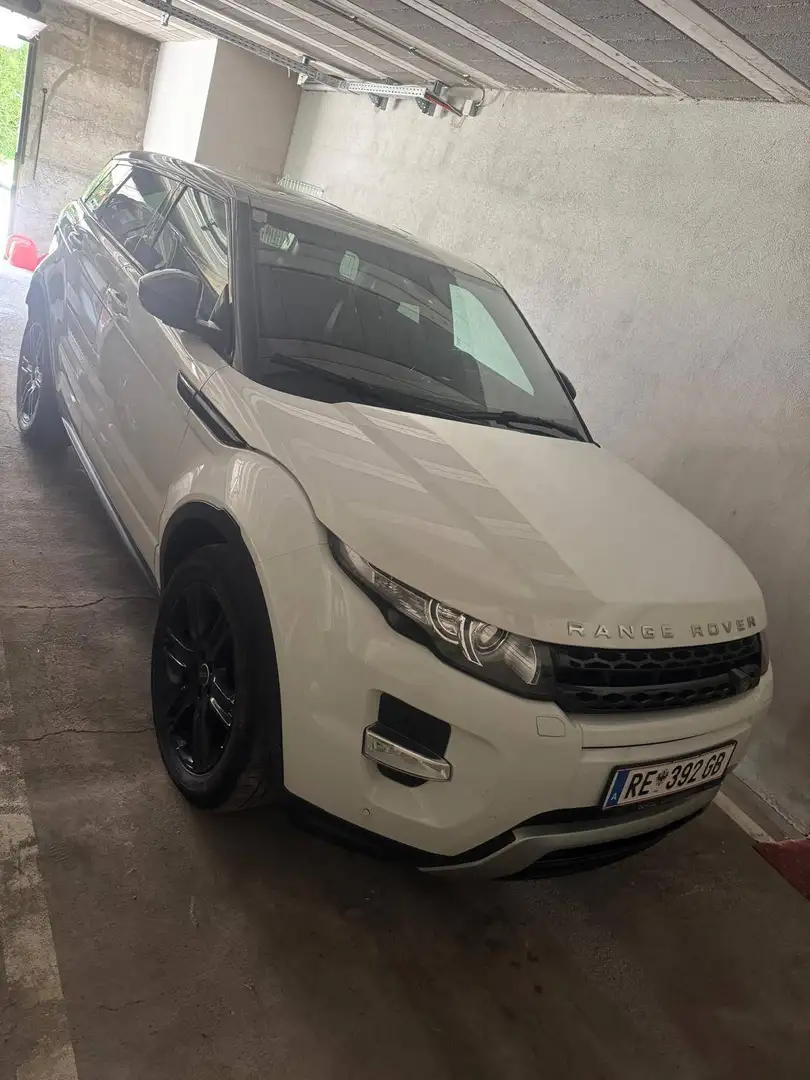 Land Rover Range Rover Evoque Range Rover Evoque Dynamic 2,2 TD4 Aut. Dynamic Weiß - 1