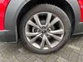 Mazda CX-30 Selection 2WD/Sitzheizung/Einparkhilfe mit Kamera Rot - thumbnail 6
