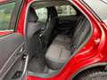 Mazda CX-30 Selection 2WD/Sitzheizung/Einparkhilfe mit Kamera Rot - thumbnail 9