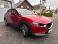 Mazda CX-30 Selection 2WD/Sitzheizung/Einparkhilfe mit Kamera Rot - thumbnail 5