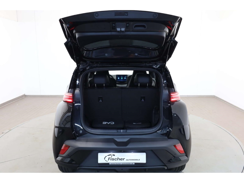 BYD Dolphin Comfort — photo 7