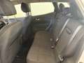 Renault Kadjar 1.5 dci energy Business 110cv Argento - thumbnail 11