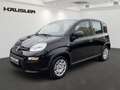 Fiat Panda Hybrid 1.0 GSE Klima, Tempomat, Parksens., Isofix, Schwarz - thumbnail 1