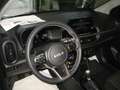 Kia Picanto 1.0 12V 5PORTE 20 TH ANNIVERSARY Grigio - thumbnail 8