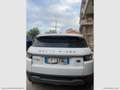 Land Rover Range Rover Evoque RR Evoque 2.2 TD4 5p. Prestige Bianco - thumbnail 12