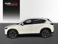 Mazda CX-5 2.0 Skyactiv-G Evolution 2WD 121kW Blanco - thumbnail 8