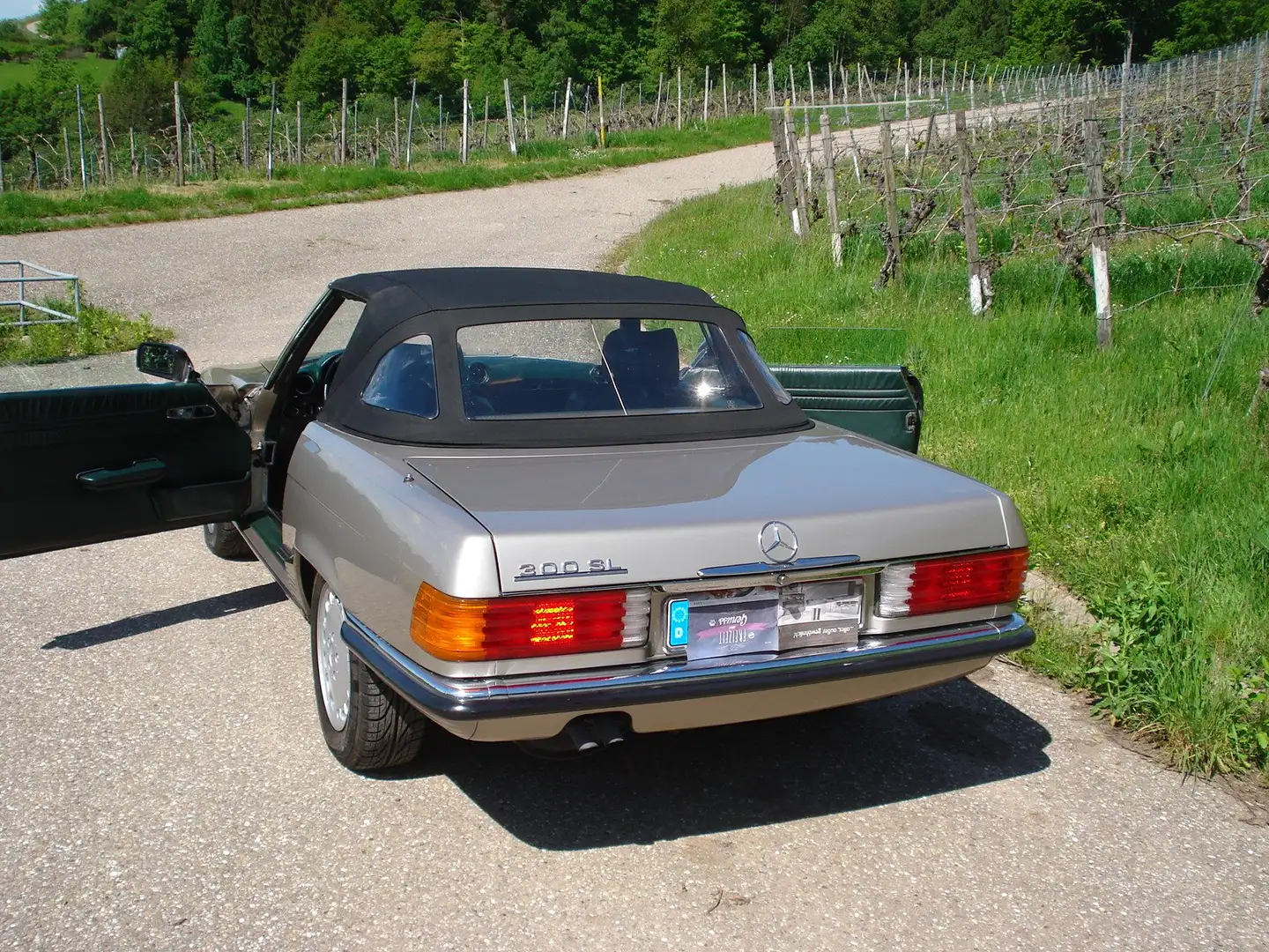 Mercedes-Benz SL 300 300 SL Argintiu - 2