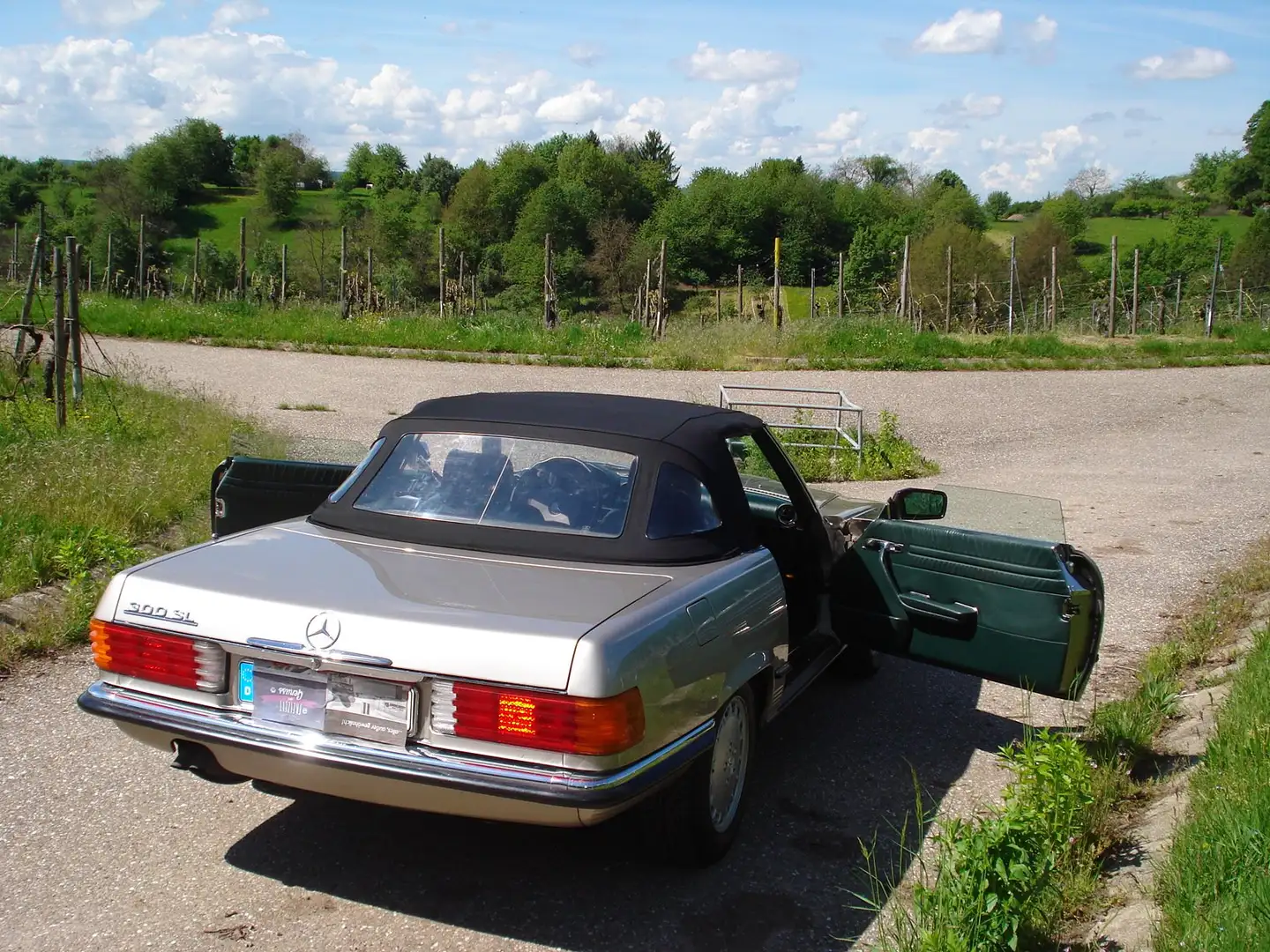 Mercedes-Benz SL 300 300 SL Argintiu - 1