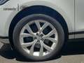 Land Rover Range Rover Evoque 1.5 P300E SE AUTO 4WD 309 5P Blanco - thumbnail 9