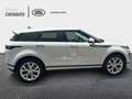 Land Rover Range Rover Evoque 1.5 P300E SE AUTO 4WD 309 5P Blanco - thumbnail 6
