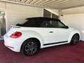 Volkswagen Beetle Cabriolet/Service neu/GARANTIE Weiß - thumbnail 3