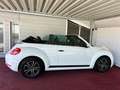 Volkswagen Beetle Cabriolet/Service neu/GARANTIE Weiß - thumbnail 1