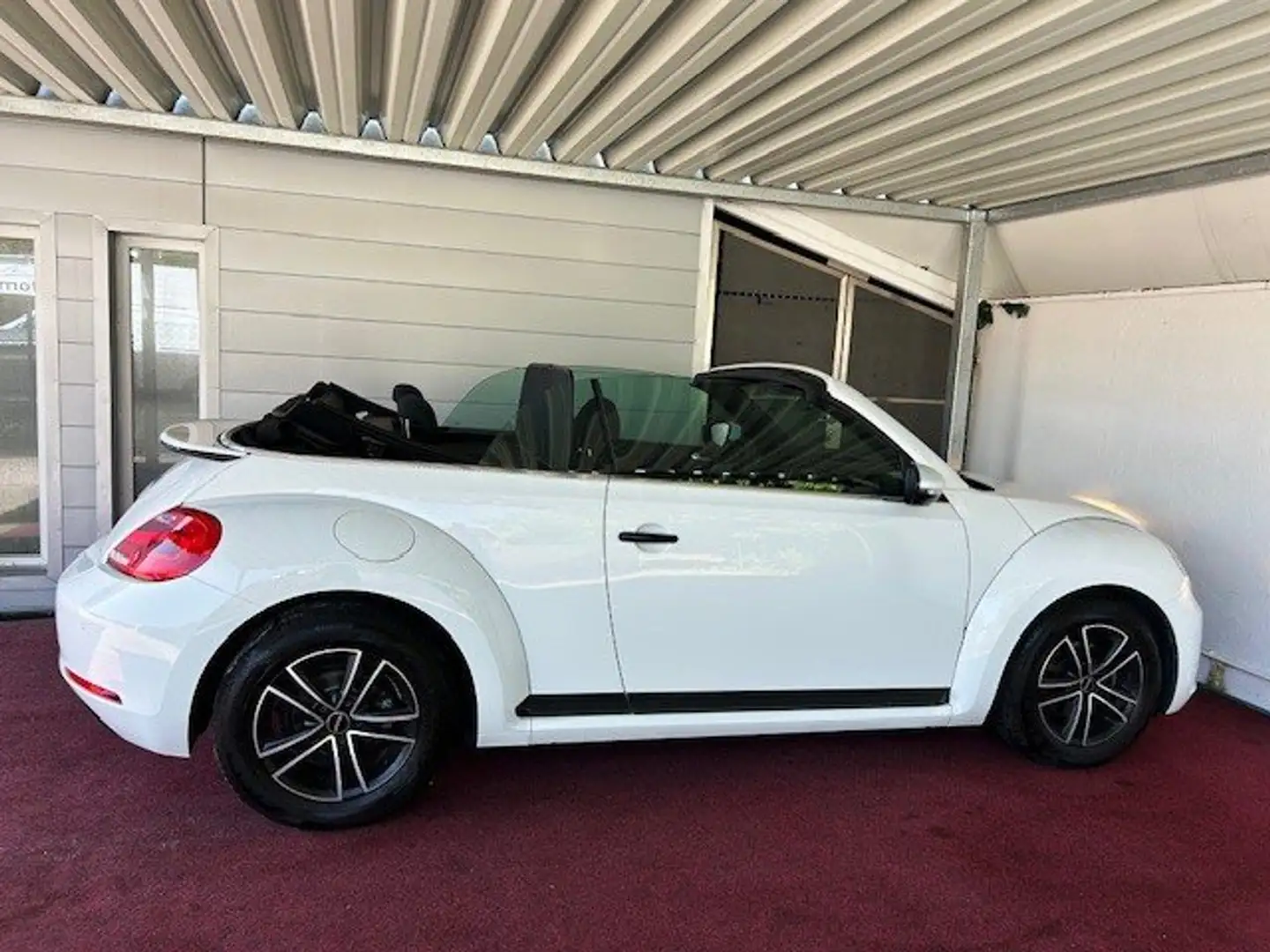 Volkswagen Beetle Cabriolet/Service neu/GARANTIE Weiß - 1