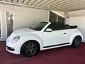 Volkswagen Beetle Cabriolet/Service neu/GARANTIE Weiß - thumbnail 12