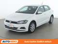 Volkswagen Polo 1.0 Weiß - thumbnail 1