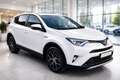 Toyota RAV 4 RAV4 2,5 Hybrid Active 2WD Aut. Weiß - thumbnail 1
