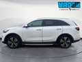 Kia Sorento 2.2 CRDi AT8 AWD GT Line Bianco - thumbnail 5