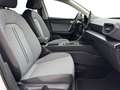 SEAT Leon 1.5 eTSI DSG Road Edition VIRTUAL*NAVI*LED*ACC*... Weiß - thumbnail 10