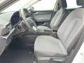 SEAT Leon 1.5 eTSI DSG Road Edition VIRTUAL*NAVI*LED*ACC*... Weiß - thumbnail 11
