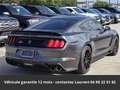 Ford Mustang Shelby GT350 526 Hors homologation 4500e Gris - thumbnail 11