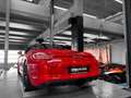 Porsche Boxster 981 GTS 330 – PDK - Origine France Rot - thumbnail 13