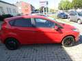 Ford Fiesta Fiesta Trend 1,25 Trend Rot - thumbnail 7