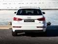 Audi Q3 Q3 2.0 TDI 184 ch S tronic 7 Quattro Ambition Luxe Weiß - thumbnail 14
