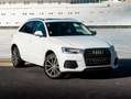 Audi Q3 Q3 2.0 TDI 184 ch S tronic 7 Quattro Ambition Luxe Weiß - thumbnail 3
