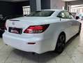Lexus IS 250 C 2.5 V6 COUPE/CABRIO F-SPORT Bianco - thumbnail 5