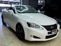 Lexus IS 250 C 2.5 V6 COUPE/CABRIO F-SPORT Bianco - thumbnail 4
