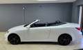 Lexus IS 250 C 2.5 V6 COUPE/CABRIO F-SPORT Bianco - thumbnail 3