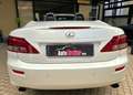 Lexus IS 250 C 2.5 V6 COUPE/CABRIO F-SPORT Bianco - thumbnail 6
