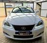 Lexus IS 250 C 2.5 V6 COUPE/CABRIO F-SPORT Bianco - thumbnail 3