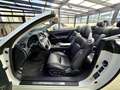 Lexus IS 250 C 2.5 V6 COUPE/CABRIO F-SPORT Bianco - thumbnail 12