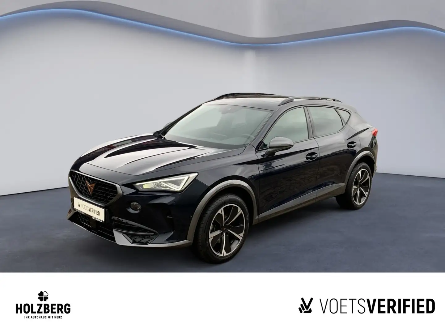 CUPRA Formentor 2.0 TSI 4Drive AHK+PANO+NAVI Blau - 1